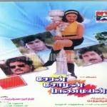 Thirunalveli Alwaa Song Poster