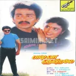 Chittu Chittu Kuruvigal Song Poster