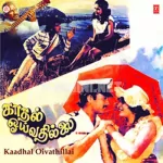 Manikka Silaye Manmadha Kalaiye Song Poster