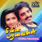 Chinna Paravaigalea Song Poster